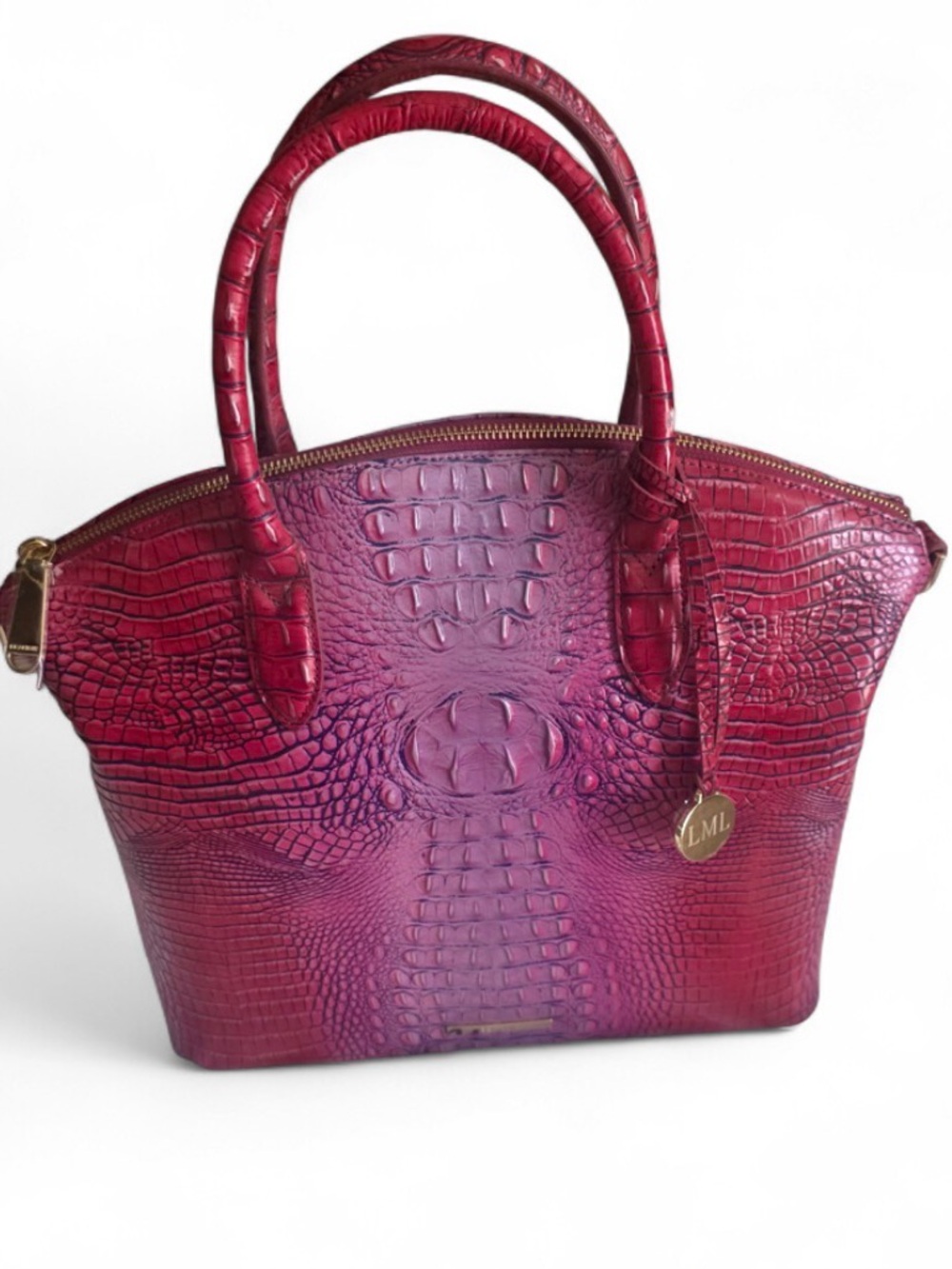 Brand new Brahmin bag (please read description)